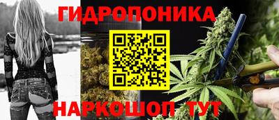 индика Бузулук