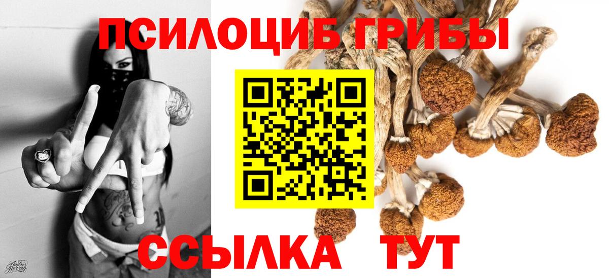 Псилоцибиновые грибы GOLDEN TEACHER Саки