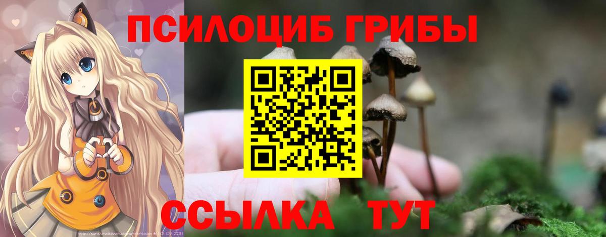 Псилоцибиновые грибы MAGIC MUSHROOMS  Вход с VPN  Саки  Псилоцибиновые грибы прущие грибы 